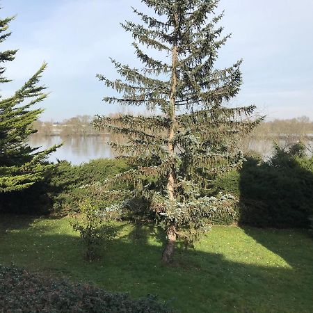 Une Nuit Sur Loire Treves-Cunault ภายนอก รูปภาพ