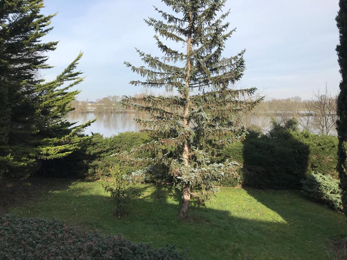 Une Nuit Sur Loire Treves-Cunault ภายนอก รูปภาพ