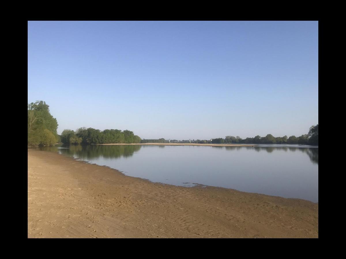 Une Nuit Sur Loire Treves-Cunault ภายนอก รูปภาพ